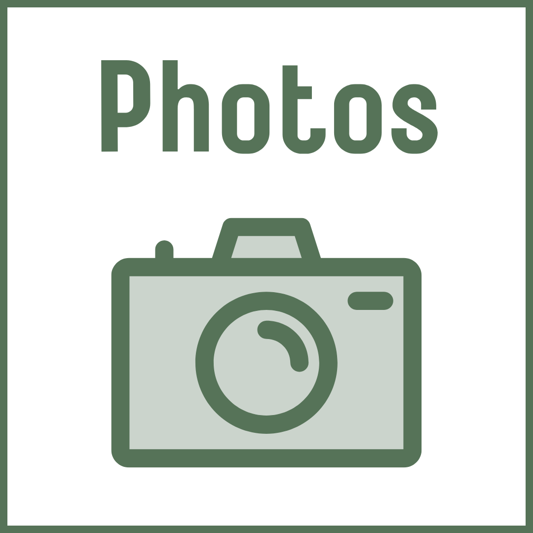 adult photo icon