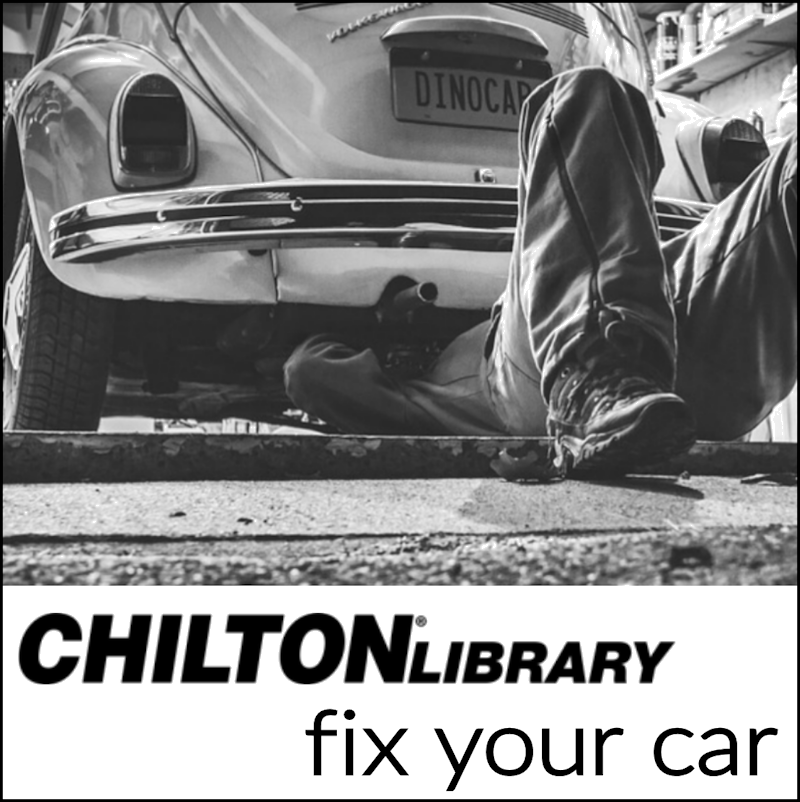 Chilton Auto Repair Manuals